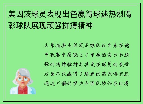 美因茨球员表现出色赢得球迷热烈喝彩球队展现顽强拼搏精神